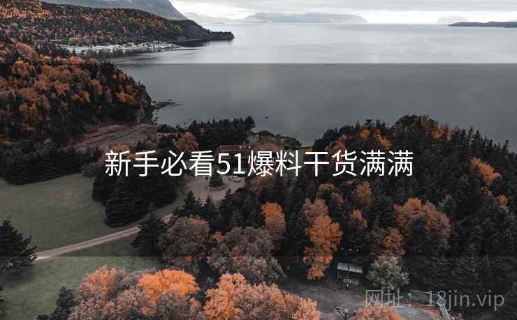 新手必看51爆料干货满满