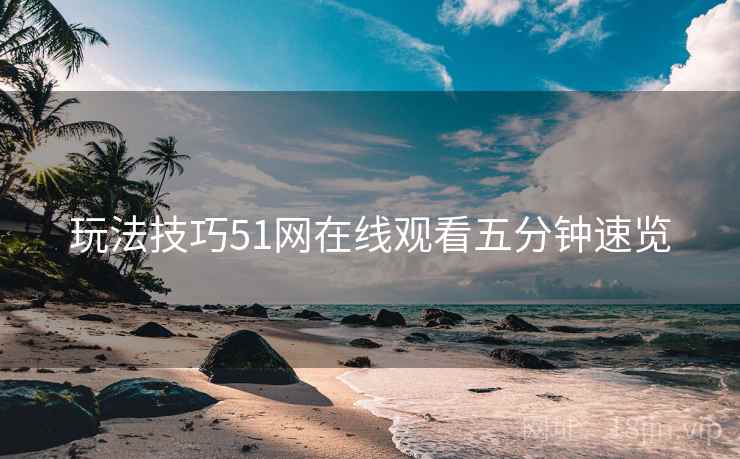 玩法技巧51网在线观看五分钟速览