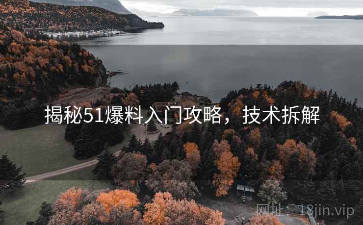 揭秘51爆料入门攻略，技术拆解