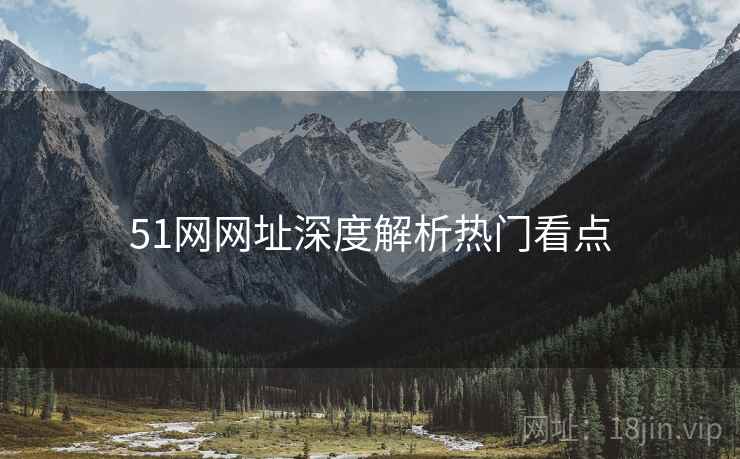 51网网址深度解析热门看点