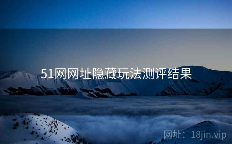 51网网址隐藏玩法测评结果