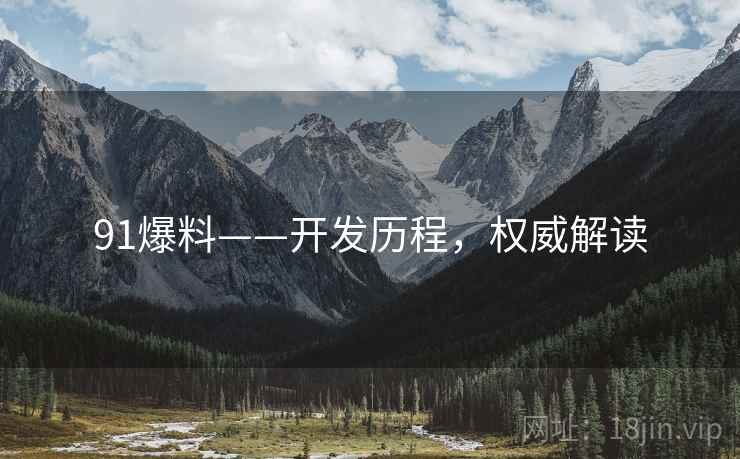 91爆料——开发历程，权威解读