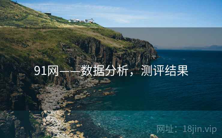 91网——数据分析，测评结果