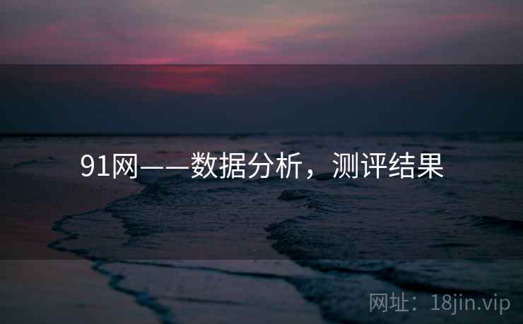91网——数据分析，测评结果
