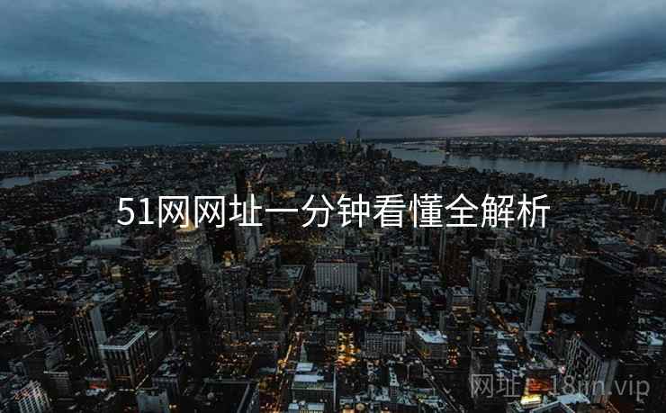 51网网址一分钟看懂全解析