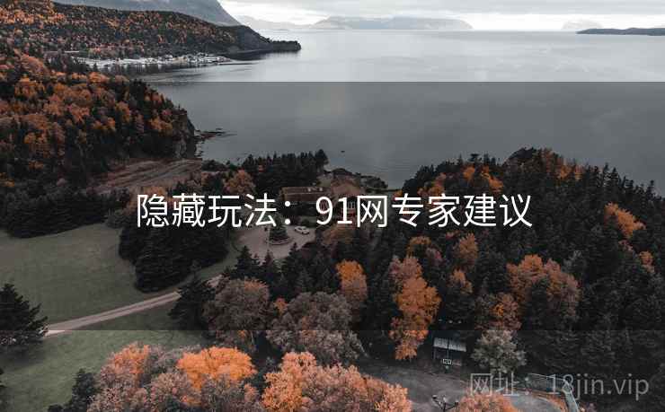 隐藏玩法：91网专家建议