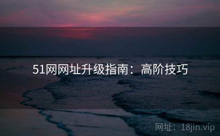 51网网址升级指南：高阶技巧