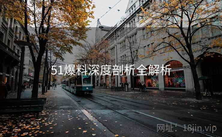 51爆料深度剖析全解析