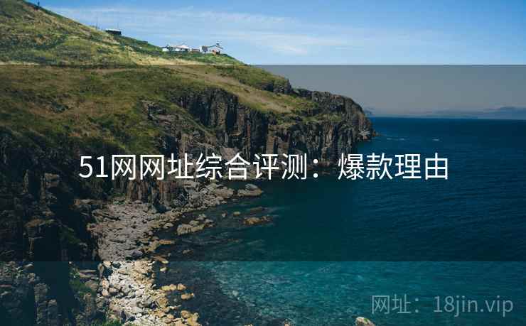 51网网址综合评测：爆款理由