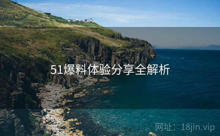 51爆料体验分享全解析