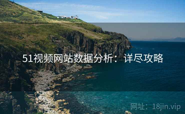 51视频网站数据分析：详尽攻略