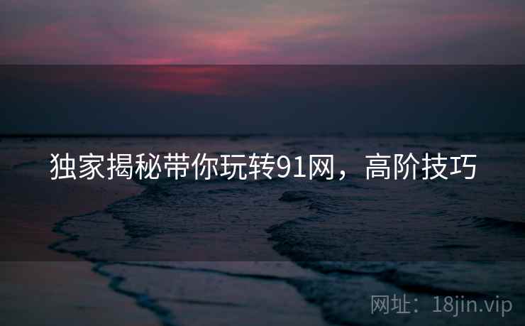 独家揭秘带你玩转91网，高阶技巧