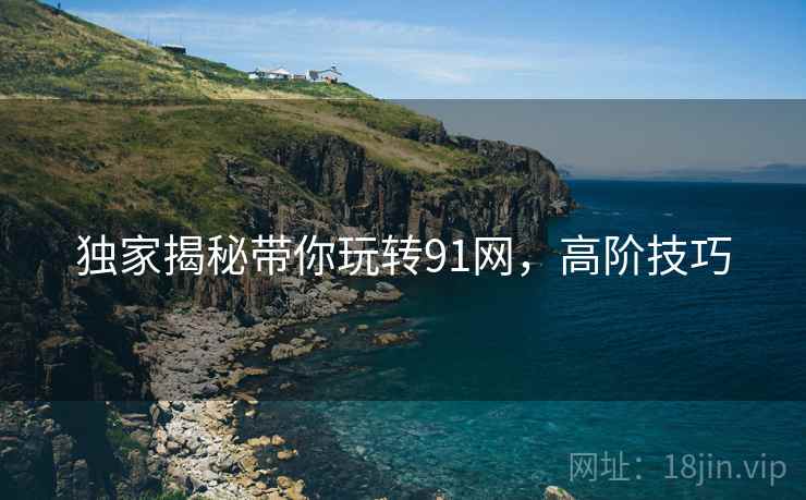 独家揭秘带你玩转91网，高阶技巧