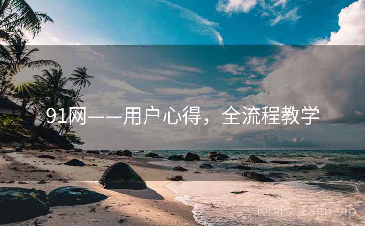 91网——用户心得，全流程教学