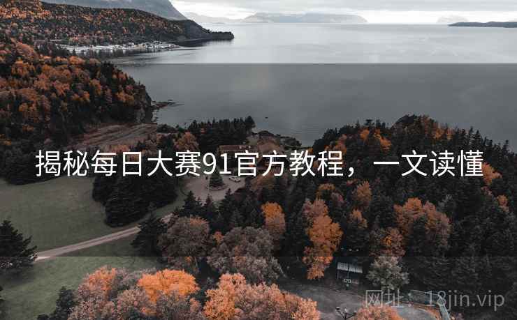 揭秘每日大赛91官方教程，一文读懂