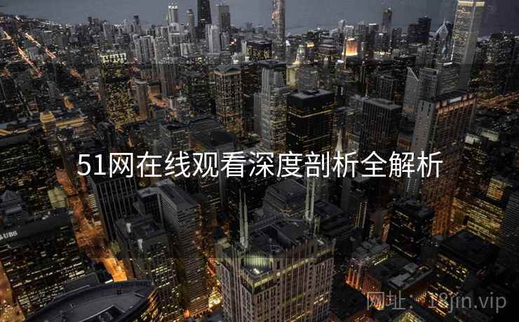 51网在线观看深度剖析全解析